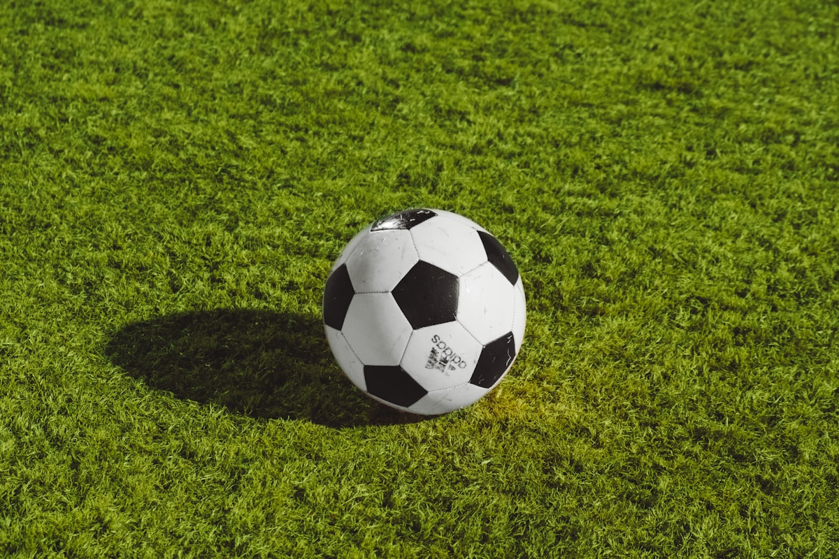 Pallone da calcio sul prato